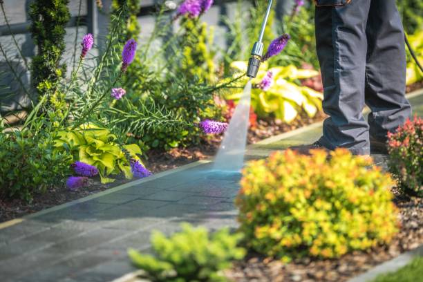 Best Sidewalk and Walkway Cleaning  in Camden, OH